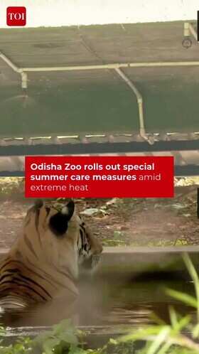 Nandankanan Zoo Introduces Cooling Measures for Summer