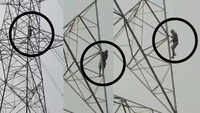 Farmer climbs high-tension tower over paddy token delay in Chhattisgarh