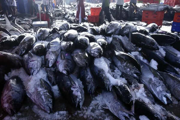 Keralites eat 4 times more fish than rest of India