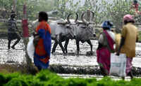 Farmers&rsquo; outfits demand immediate loan waiver, urge state not to wait for June 30 deadline