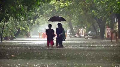 Tamil Nadu rain updates: Chennai corporation issues flood alert along banks of Cooum river
