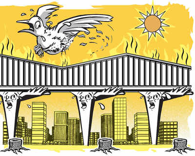Voices against steel flyover grow louder