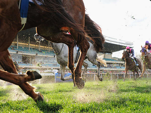 GST blow to agriculture-based horse racing industry in Bengaluru