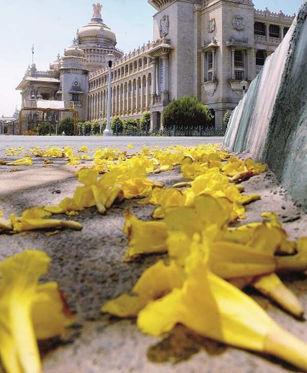 Bengaluru is the coolest city in the country. Here’s why!