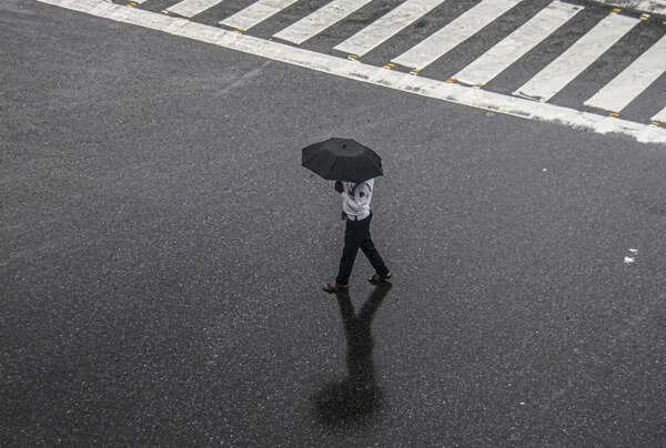 Haryana likely to witness light rain, gusty winds between May 11 & 13