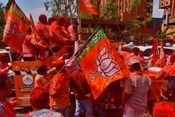 Will act as vigilant watchdog in Thane Municipal Corporation despite being in power, says BJP