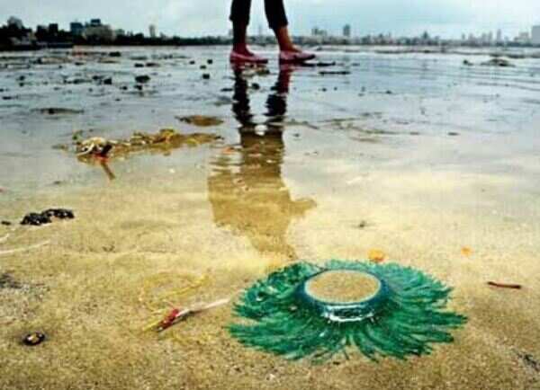 Unusual visitors wash up on beach lined with tar, waste: Pretty Porpitas