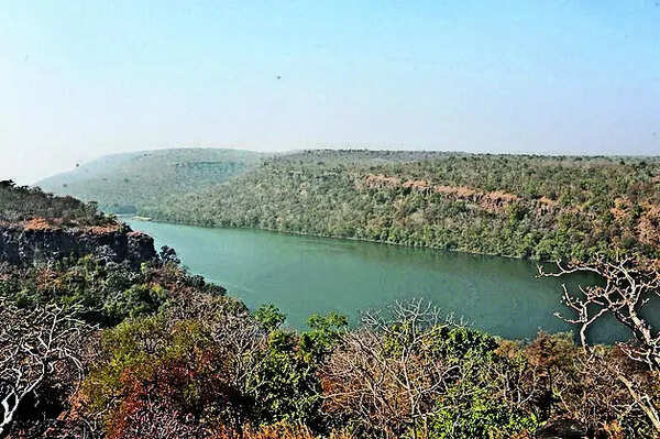 SC summons Raj, MP officials over illegal sand mining