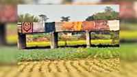 Iron & &lsquo;steal&rsquo;: Chhattisgarh bridge disappears overnight!