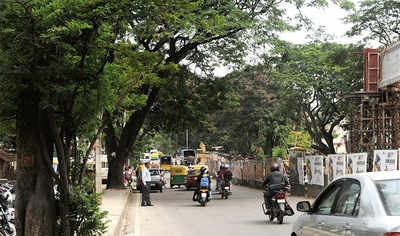 Ditch underpass, pick flyover to save 13 trees