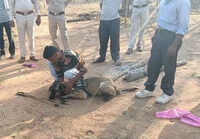 Sniffer dog leads forest officials to nilgai poachers in Chhattisgarh