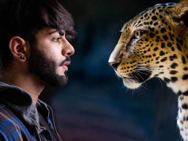 Talking wildlife: Can leopards survive in changing India?