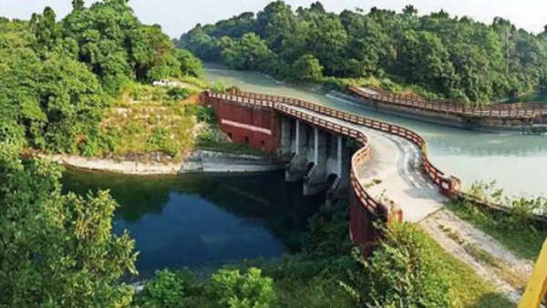 Ecotourism session for Uttar Pradesh wildlife sanctuaries set to begin today