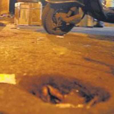 Pandals forfeit Rs 4 crore for damaging roads