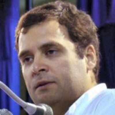 Rahul feels saffron terror is prime threat to India: WikiLeaks