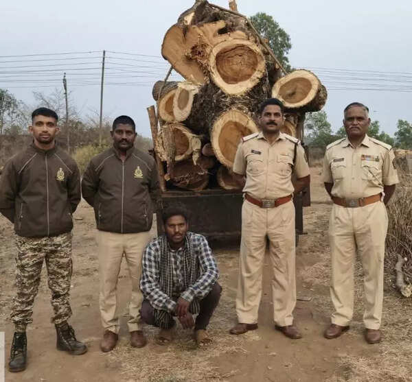 Forest department increases patrolling as LPG shortage raises firewood trespassing, three cases over three days