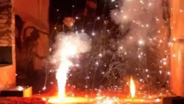 Delhi: DPCC notifies total ban on production, sale, use of firecrackers till January 1, 2025
