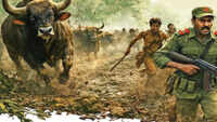 How wildlife shaped insurgent survival: We learnt to live with tigers in dark, but gaurs terrified us most, say surrendered Maoist commanders