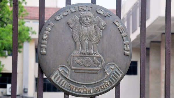 Delhi high court grants interim bail to advocate in Rs 100 crore Ponzi case, cites children’s school admission