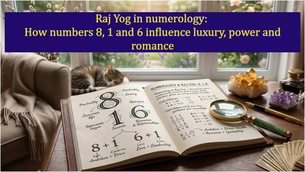 Raj Yog in numerology: How numbers 8, 1 and 6 influence luxury, power and romance