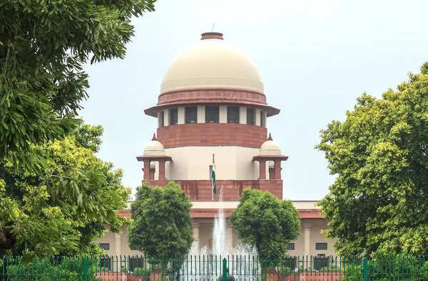 Ggn sex assault: 4-yr-old’s parents in SC for CBI/SIT probe
