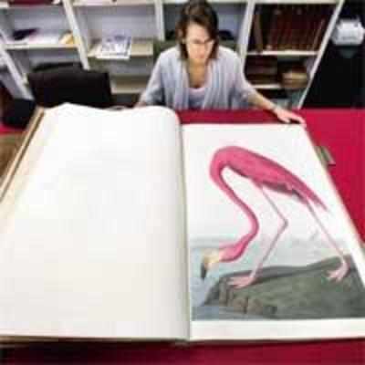 World's most expensive book to go for A£6million