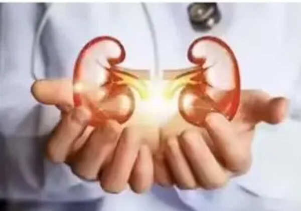 Lookout notice issued against four doctors