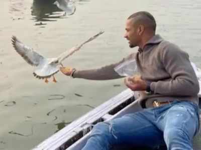 Shikhar Dhawan feeds birds amid bird flu, Varanasi DM says action to be taken against boatman
