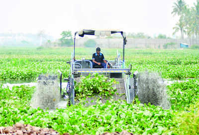 A BM report on Bellandur Lake inspired this yoga mat made from its water hyacinth