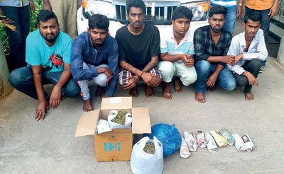 Bengaluru: 6 arrested with three kilos of marijuana