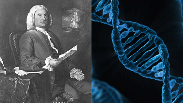 Scientists reveal more than 1.3 million people may share DNA with Maryland’s earliest colonists