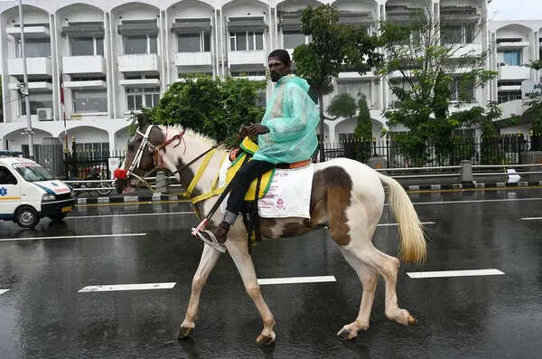 City horse death: Inspections carried out, joyrides restricted