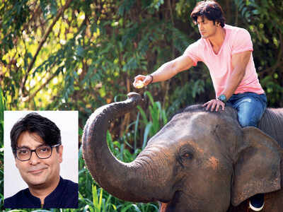 Ritesh Shah: Junglee will make us fall in love with this beautiful animal