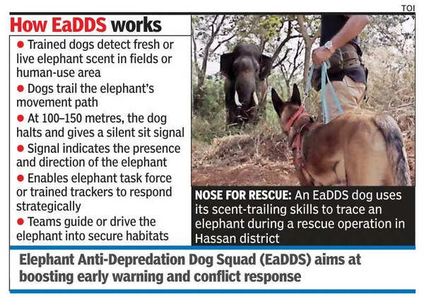 A first: Dog squad tracks wild elephants in Hassan