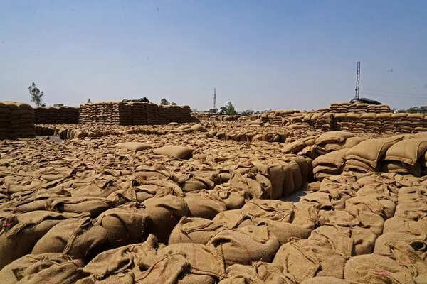 Over 115 LMT of wheat procured so far in Punjab