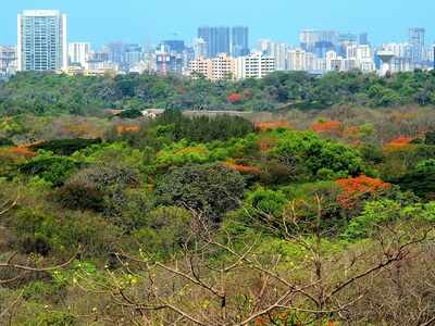 Maharashtra government hands over Aarey Colony land to BMC for zoo