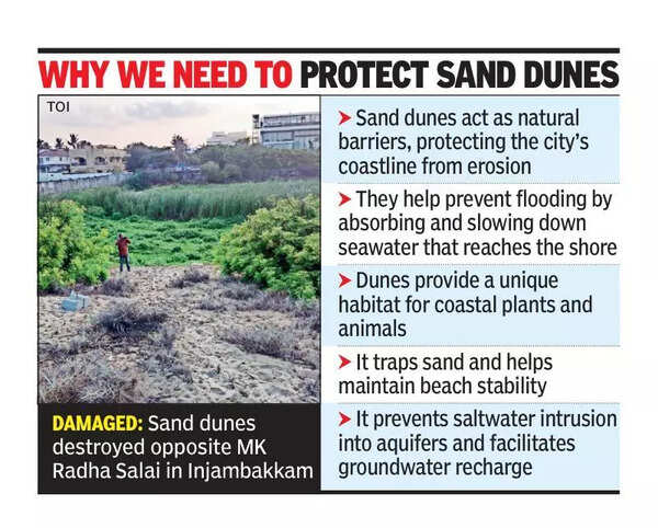 Sand dune mining in Injambakkam threatens coastline