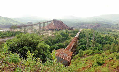 State reclaims Kudremukh park from mining firm