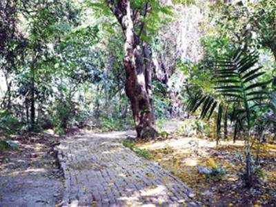 Question mark over fate of nature park after Dharavi revamp push