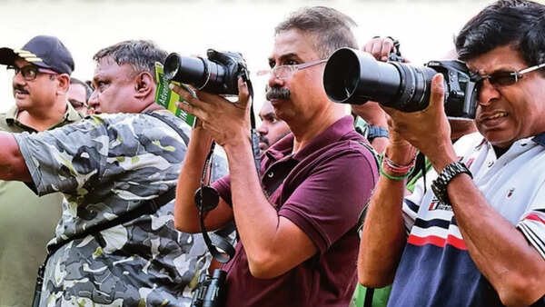 City trails take flight with birdwatching