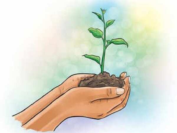 New nurseries to help Ghaziabad's green drive