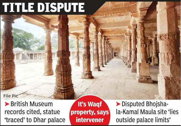 Vagdevi idol from Dhar palace ruins, not Bhojshala: HC told