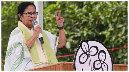 BJP may go for Lok Sabha polls in December 2023, has booked all choppers for campaigning: Mamata Banerjee