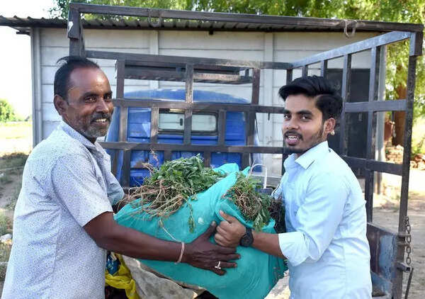 Vegetable seller’s children chase medical dreams