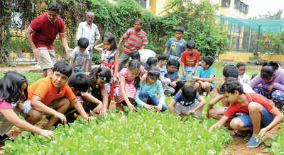 For these kids, farm is where the form is