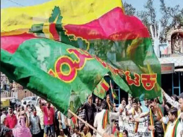 Karnataka: Clamour for banning Maharashtra Ekikaran Samiti grows; Congress divided