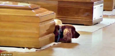 Dog refuses to leave his dead master’s coffin