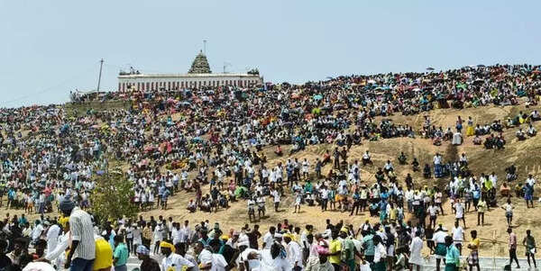 3 killed, 75 injured during Araliparai manjuvirattu in Sivaganga