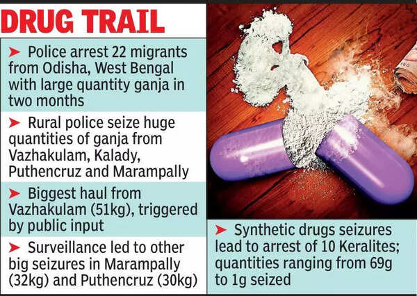 Drug menace: Vigilantism gives way to surveillance in rural Ernakulam