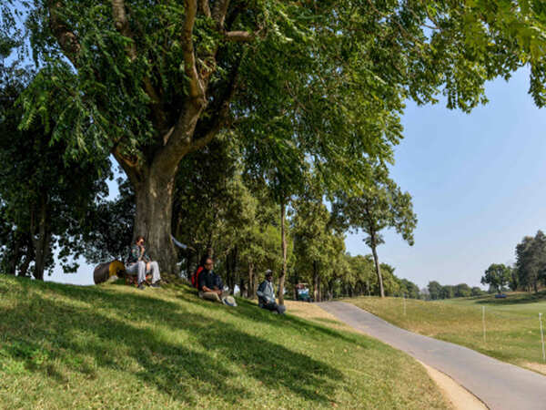 Green vanishing fast in NCR cities’ outskirts